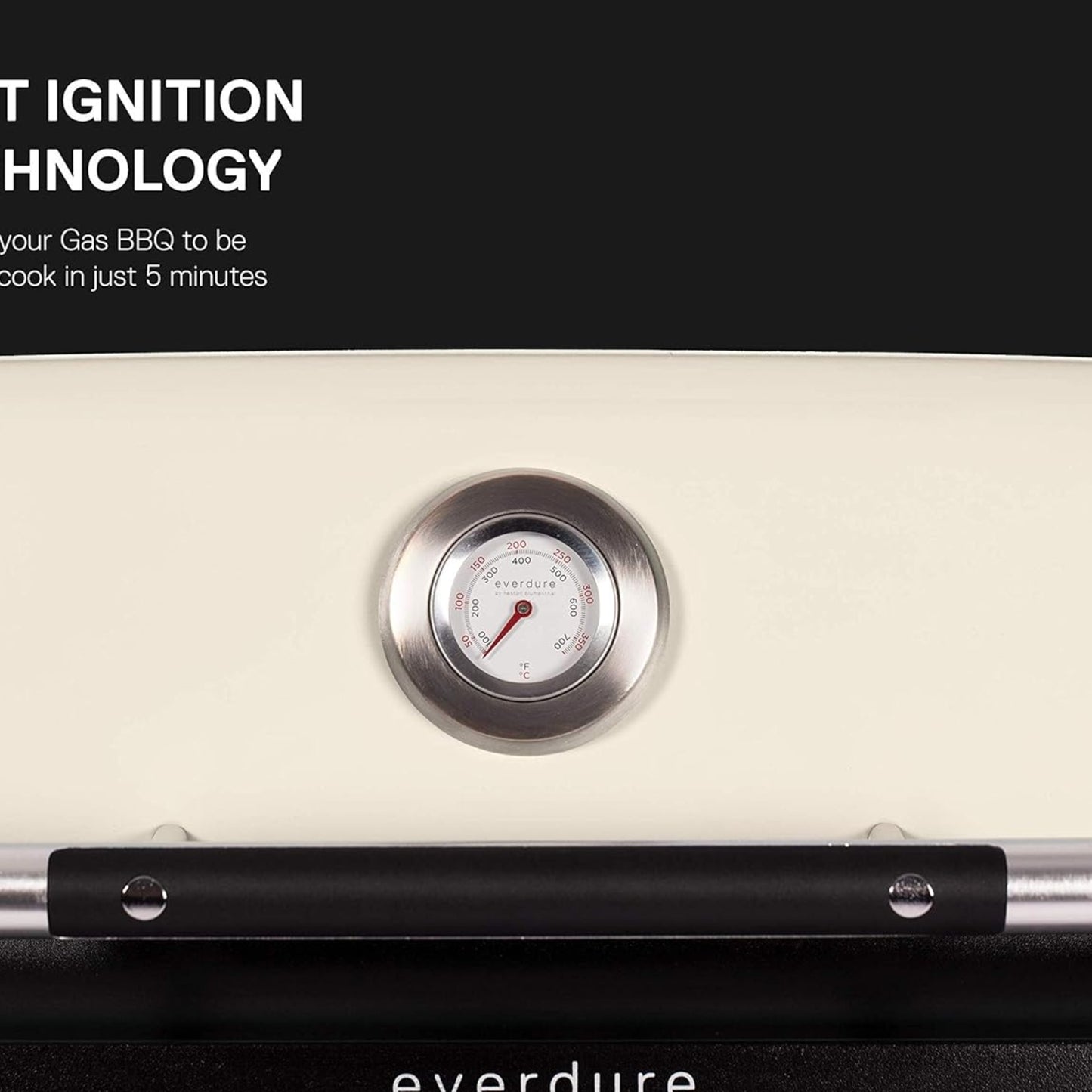 Everdure Force Gasgrill stone