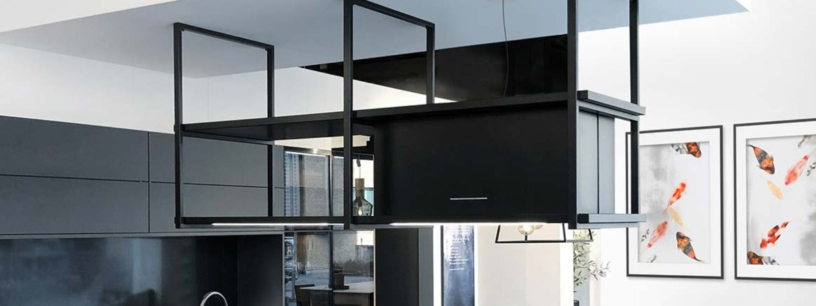 Ceiling Hood