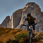 BESV TCE 1.3 MY23 FS-Step Over 460 L el-MTB Sand