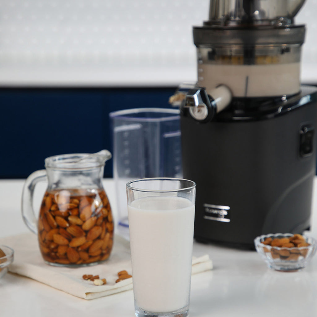 Witt By Kuvings REVO830 Hel Slow Juicer Sort