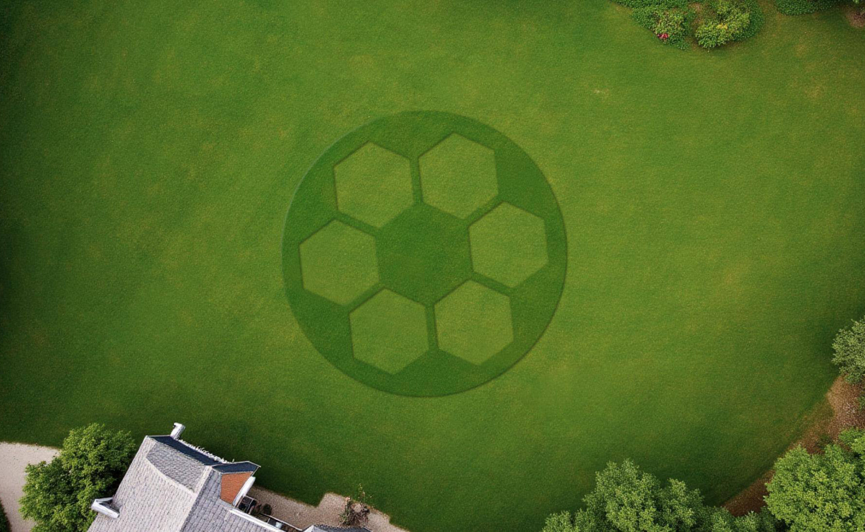 Turn Your Lawn into a Living Canvas