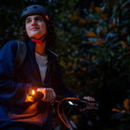 Segway Ninebot Kickscooter E2 PLUS E Grå