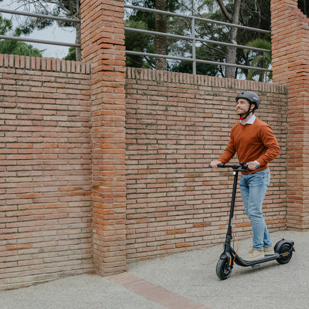 Segway Ninebot Kickscooter F2 PLUS D  Grey