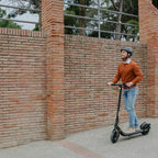 Segway Ninebot Kickscooter F2 PLUS D  Grey