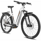 BESV TRX Urban/SUV 1.3 MY22 Low Step 560 Large Hybrid-SUV Nickel Gray Gloss