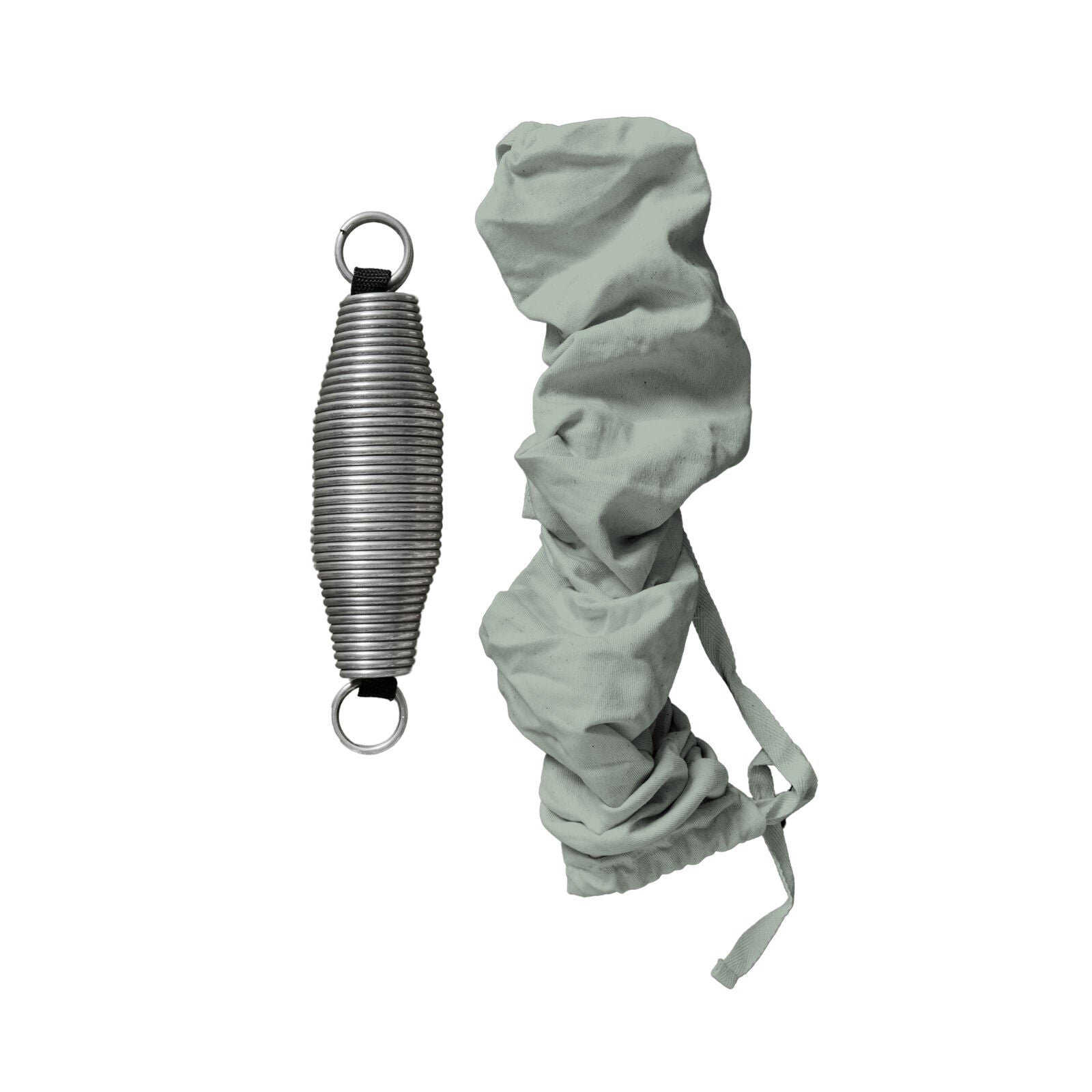 Membantu Regular Fjeder Salviegrøn