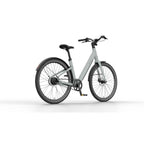 Reany V1 Vivo City Fresh Gray