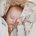 Membantu Basic Luomu Vauvan Riippukeinu Nature