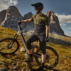 BESV TCE 1.3 MY23 FS-Step Over 430 M el-MTB Sand