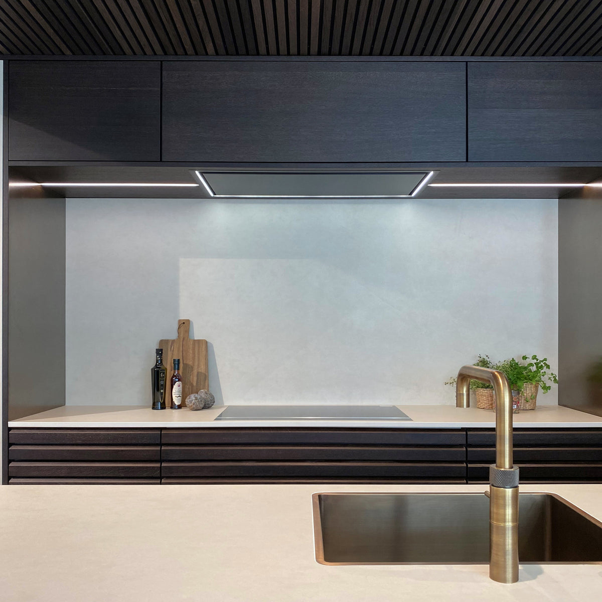 Ceiling hood