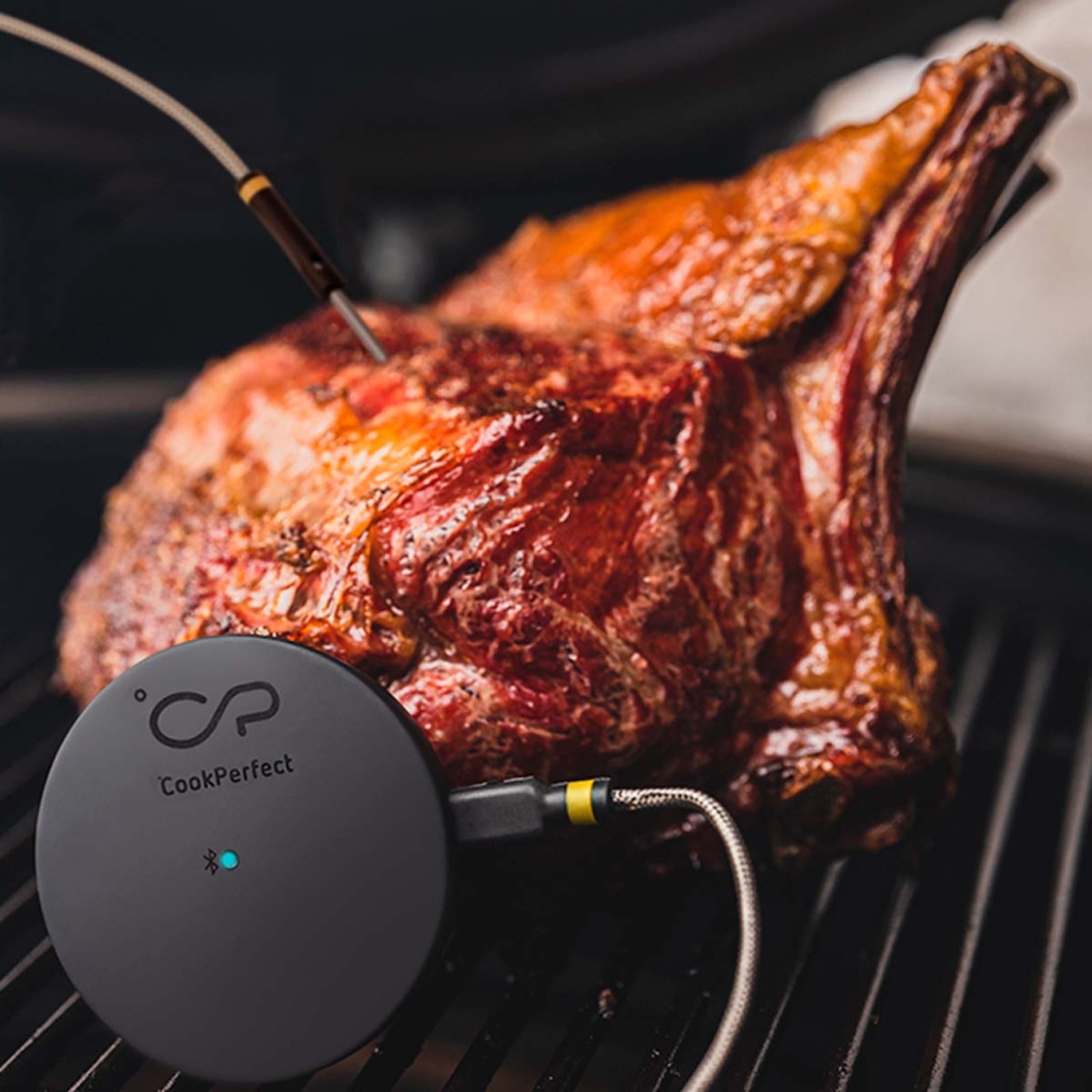 Witt CookPerfect Comfort Single Frying thermometer Black