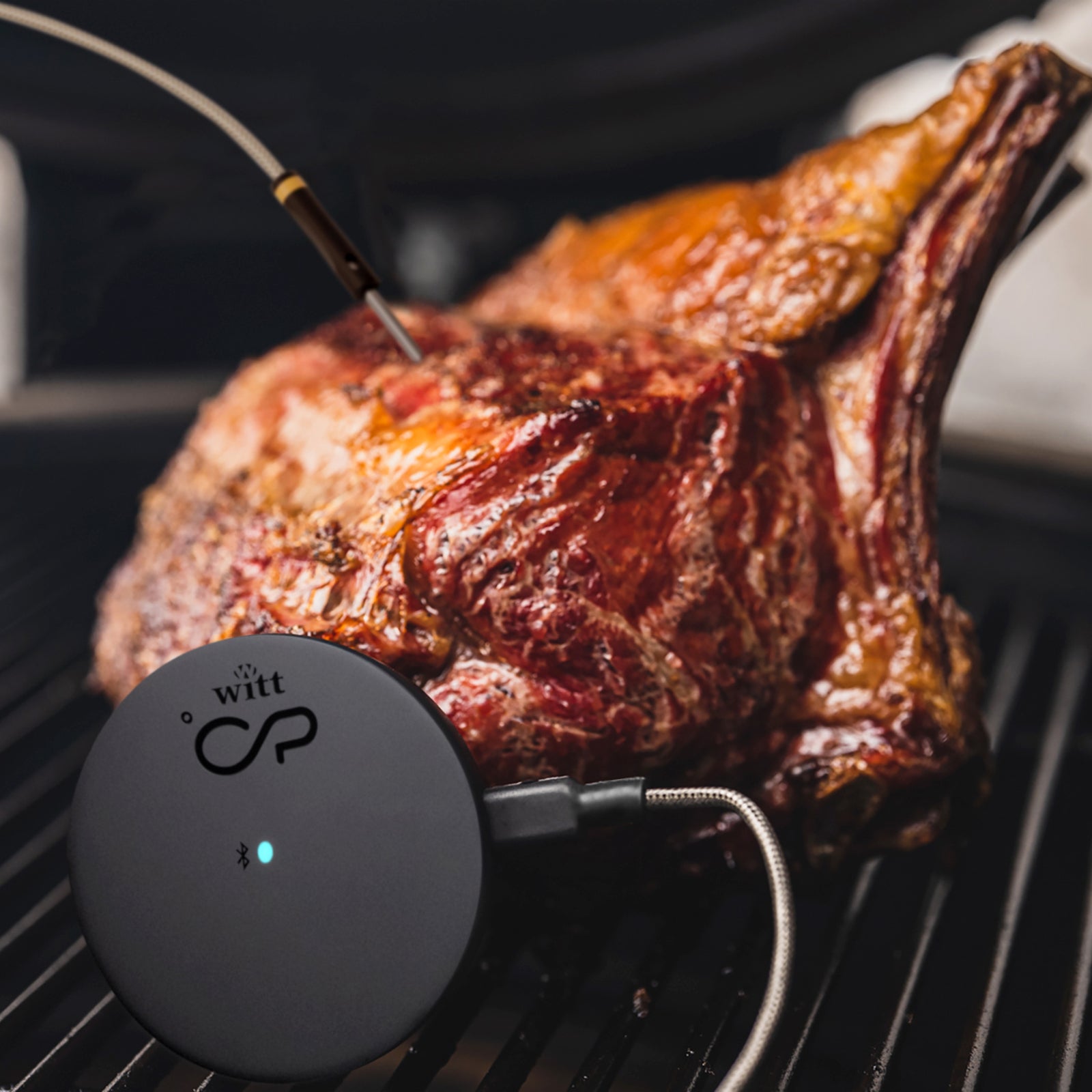 Witt CookPerfect Comfort Single Frying thermometer Black