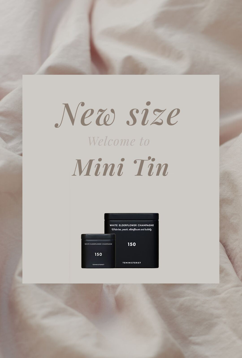 Teministeriet Signature 150 White Elderflower Champagne - Tin Tea