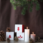 Teministeriet Holiday 430 Christmas Orange Cinnamon Organic - Box Tea