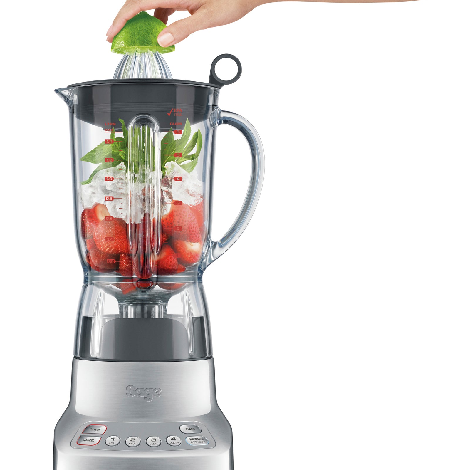Sage SBL 405 BAL Blender Børstet Aluminium