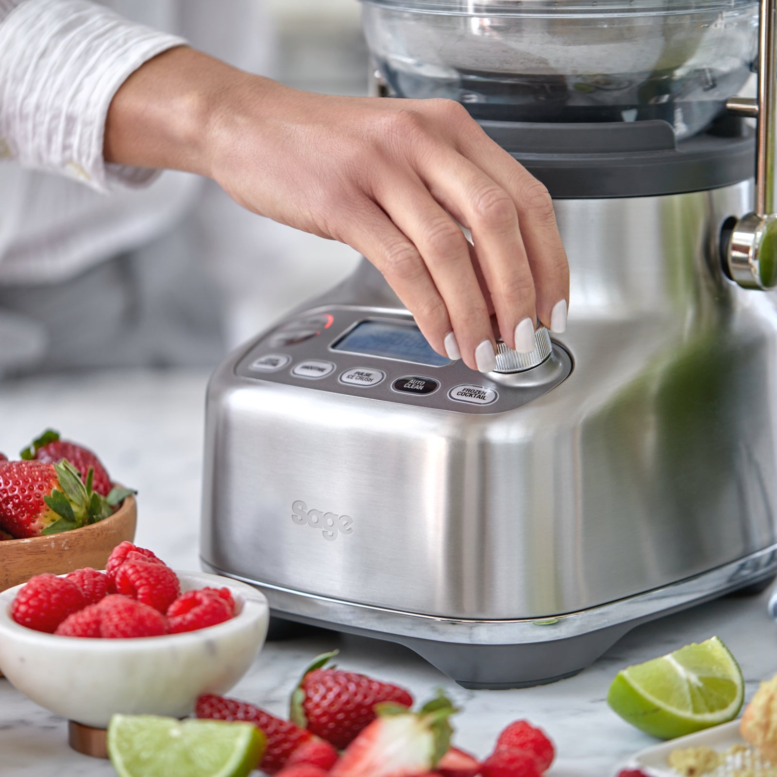 Sage SJB815BSS Bluicer Borstat stål