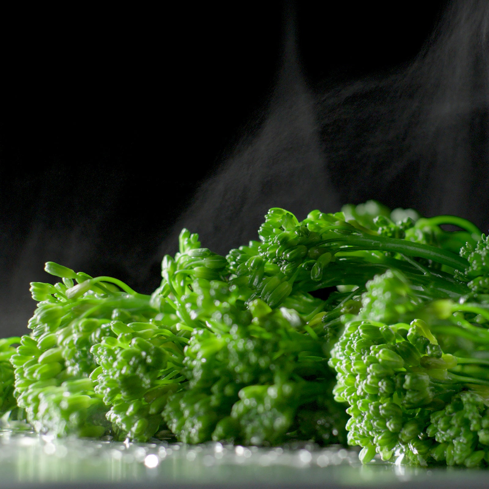 Fisher & Paykel OS60SMTDB1 Steam oven Black