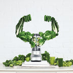 Sage SBL 620 SIL Blender Silver