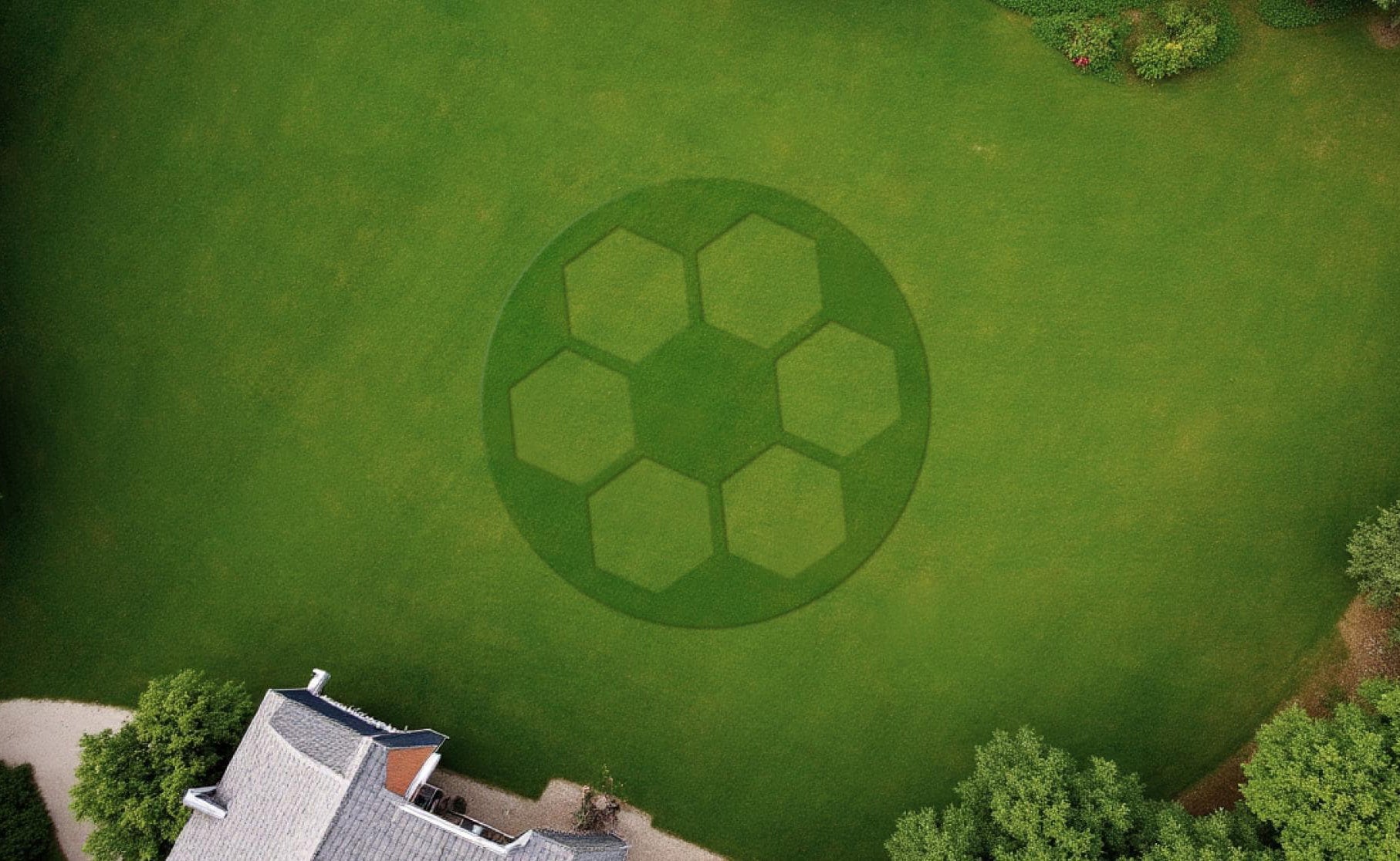 Turn Your Lawn into a Living Canvas