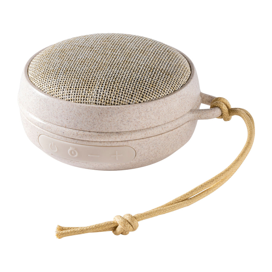 Speaker