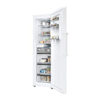 Haier H4F306WDH1 Freezer White