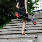 Segway Ninebot Zing C20 Kickscooter Dark grey