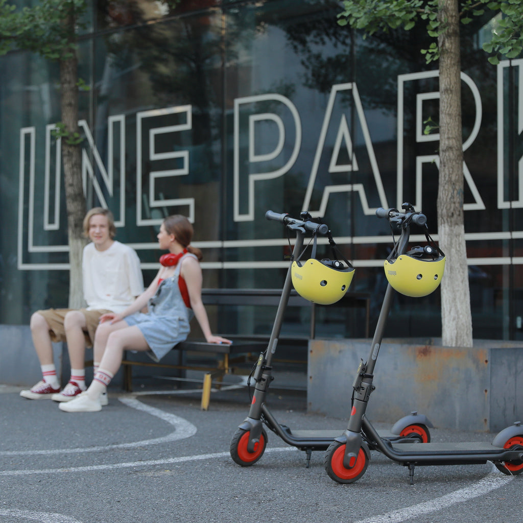 Segway Ninebot Zing C20 Kickscooter Dark grey