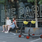 Segway Ninebot Zing C20 Kickscooter Dark grey