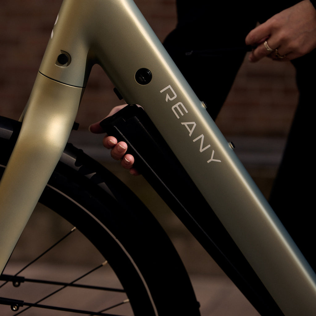 Reany V1 Vivo City Fresh Gray