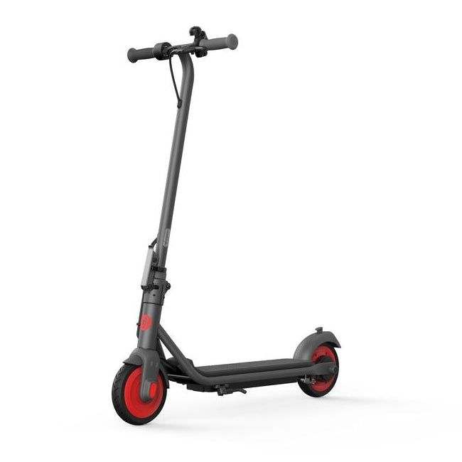 Segway Ninebot Zing C20 Kickscooter Dark grey