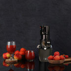 Witt By Kuvings REVO830 Hel Slow Juicer Sort
