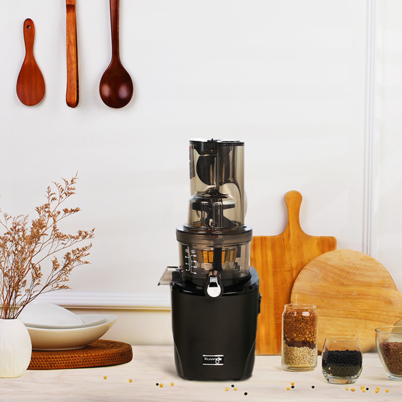Witt By Kuvings REVO830 Hel Slow Juicer Sort