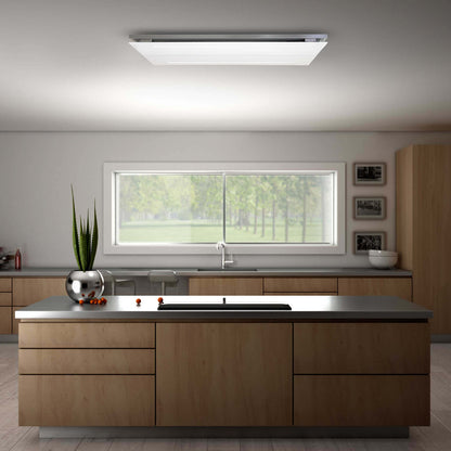 Witt WS 960-2 Ceiling hood Stainless Steel