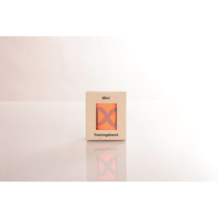 FLEXVIT Retail MINI "POWER" Heavy Powerband Blå Elastik Mini bånd Blå