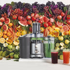 Sage SJE 430 SIL Juicer Silver