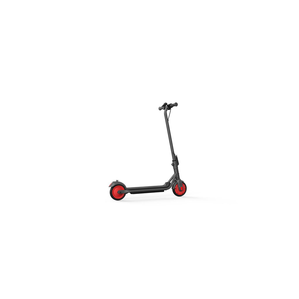 Segway Ninebot Zing C20 Kickscooter Dark grey
