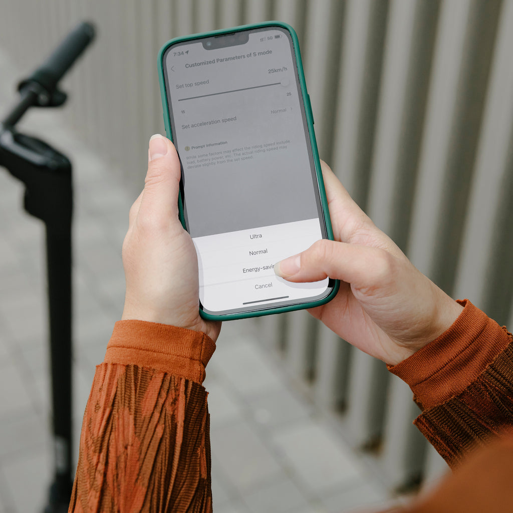 Segway Ninebot Kickscooter F2 E  Grey