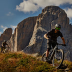 BESV TCE 1.1 MY23 FS-Step Over 460 L el-MTB Svart