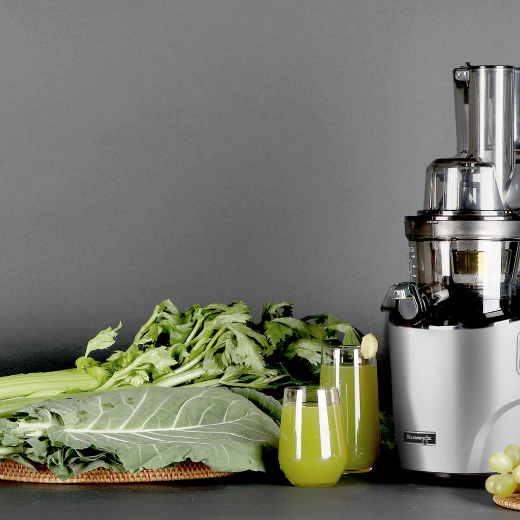 Witt By Kuvings REVO830 Hel Slow Juicer Sølv